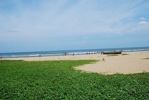 Breezy Beach