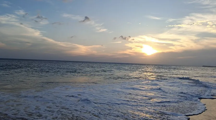 Lemur Beach