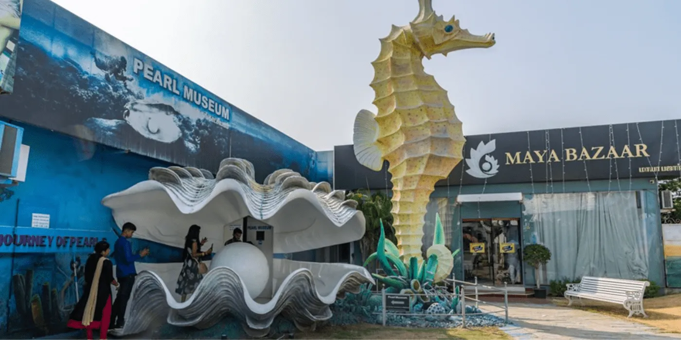India Seashell Museum
