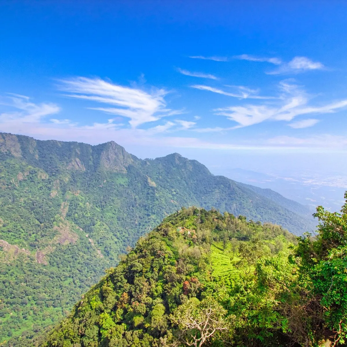 Dolphin's Nose