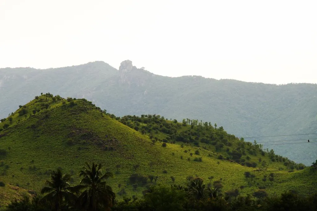 Javadi Hills thumbnail 2