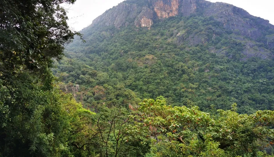 Kolli Hills