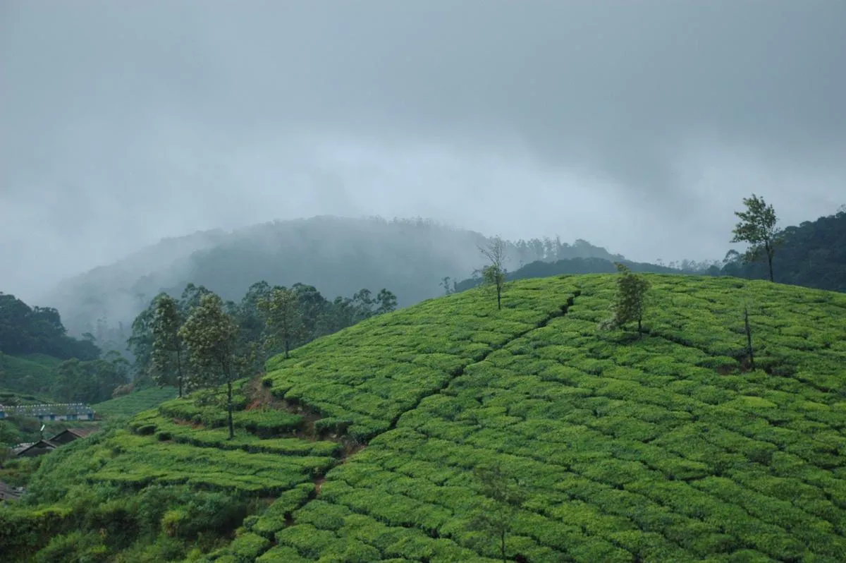 Manjolai Hills