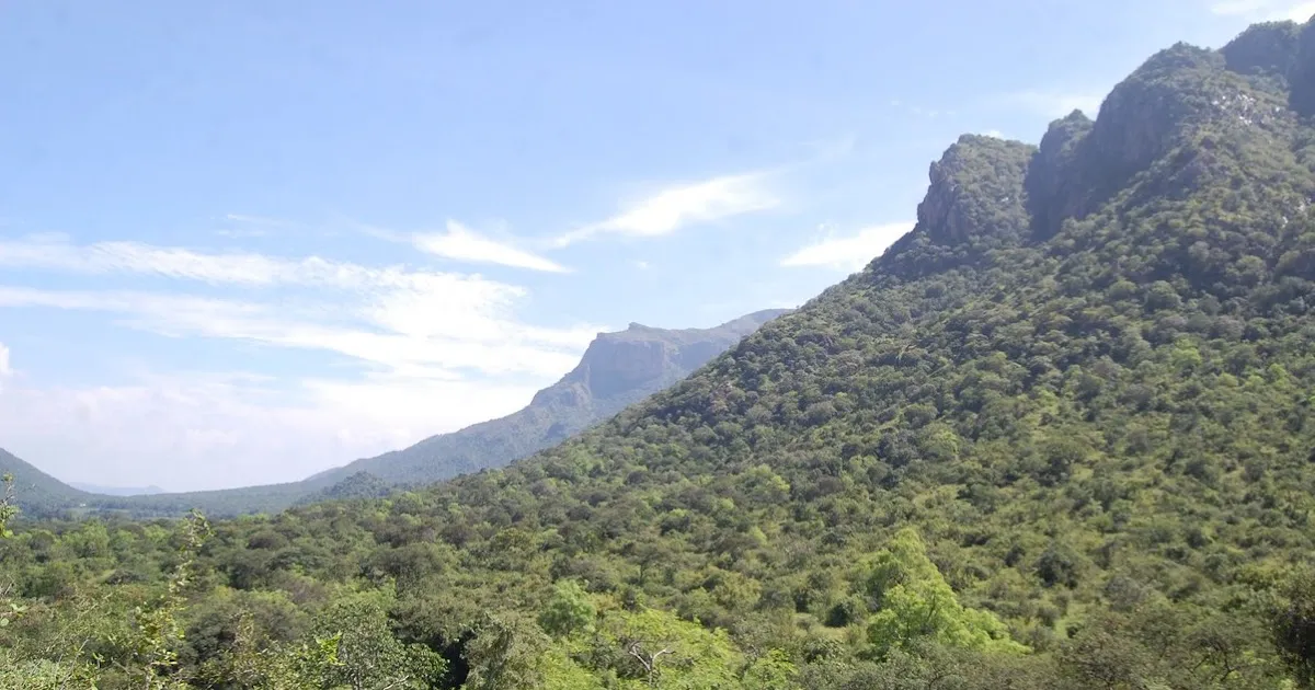 Sathyamangalam Reserve Forest thumbnail 2