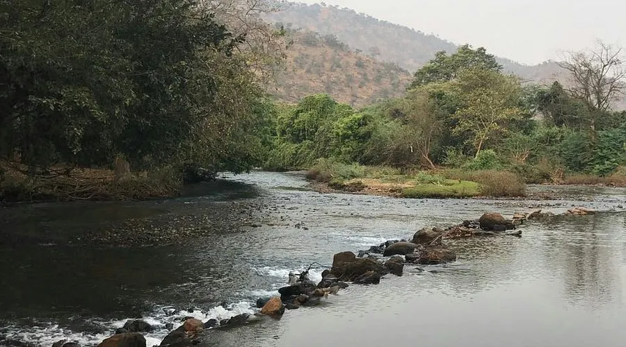 Sathyamangalam Reserve Forest